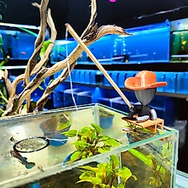 Küçük Boy Köşede Balık Tutan Adam Figürü