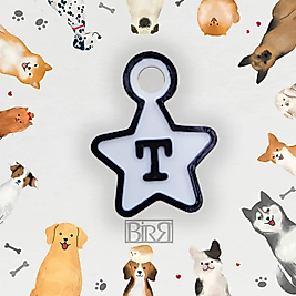 Yıldız Model Künye