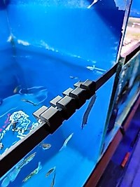 AKVARYUM BUĞU CAM AYAKLARI